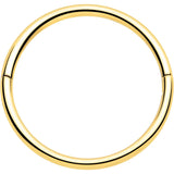 20G Implant Grade Titanium Half Closure Hinged Segment Ring - BodyCandy - Flyclothing LLC