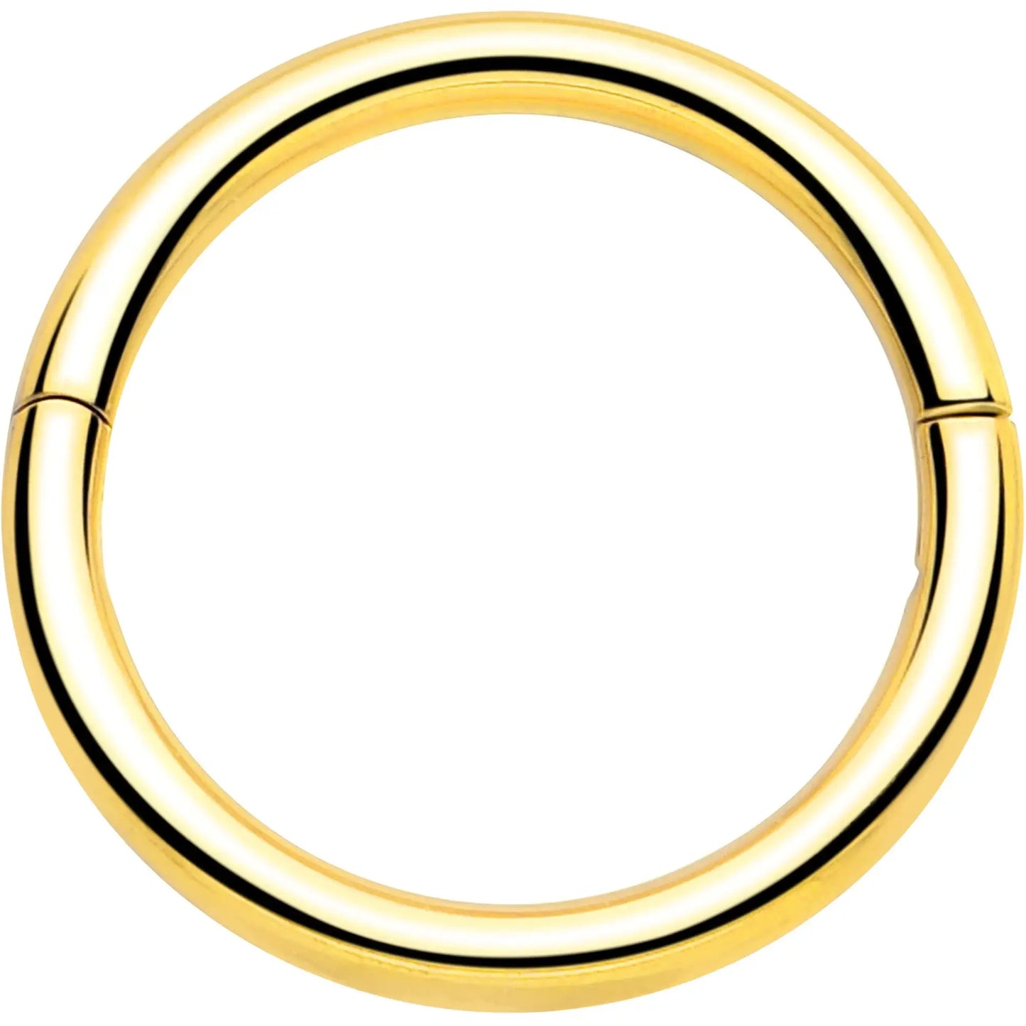 20G Implant Grade Titanium Half Closure Hinged Segment Ring - BodyCandy - Flyclothing LLC