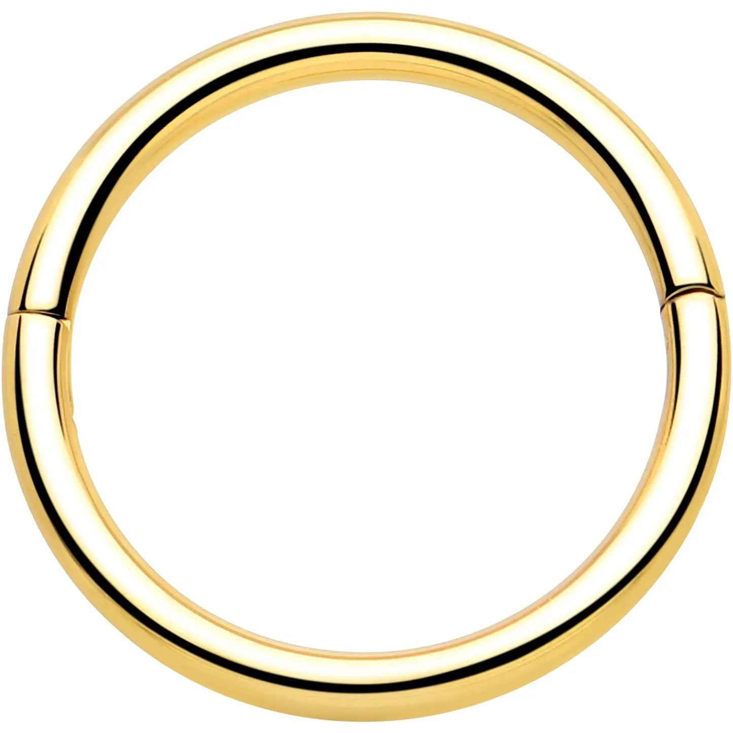 20G Implant Grade Titanium Half Closure Hinged Segment Ring - BodyCandy - Flyclothing LLC
