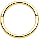 20G Implant Grade Titanium Half Closure Hinged Segment Ring - BodyCandy - Flyclothing LLC