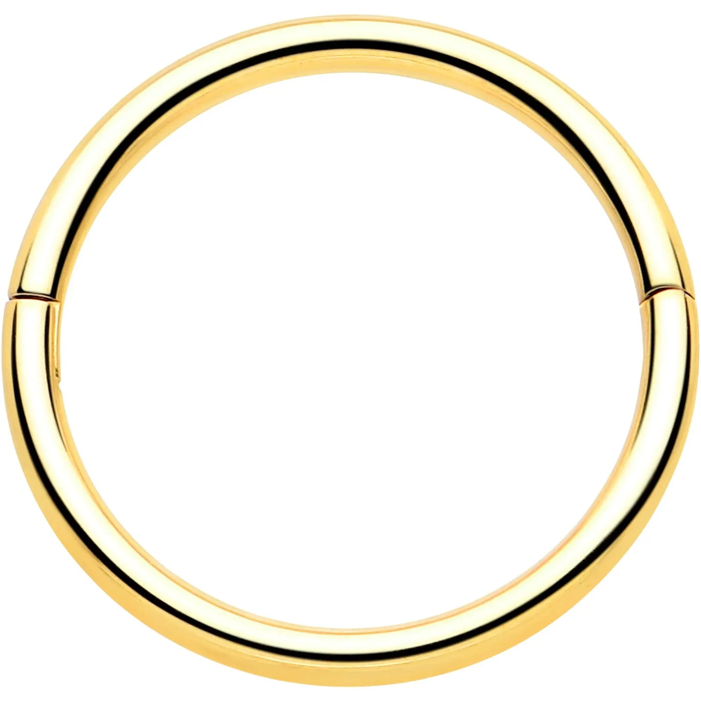 20G Implant Grade Titanium Half Closure Hinged Segment Ring - BodyCandy - Flyclothing LLC