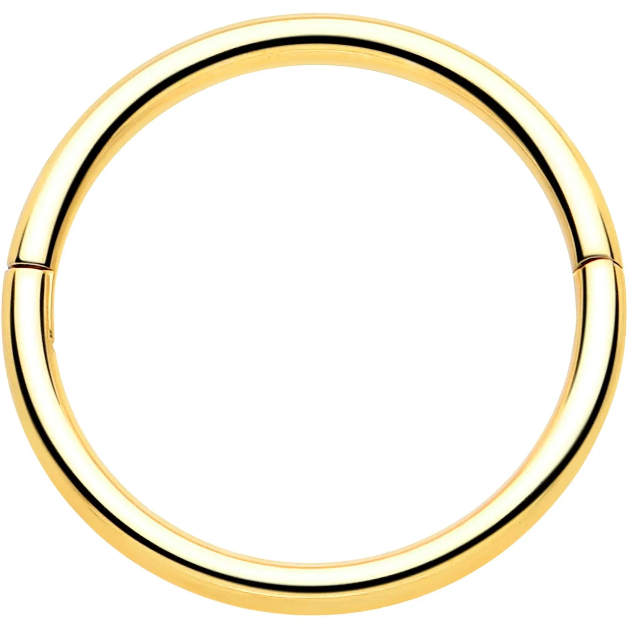 20G Implant Grade Titanium Half Closure Hinged Segment Ring - BodyCandy - Flyclothing LLC