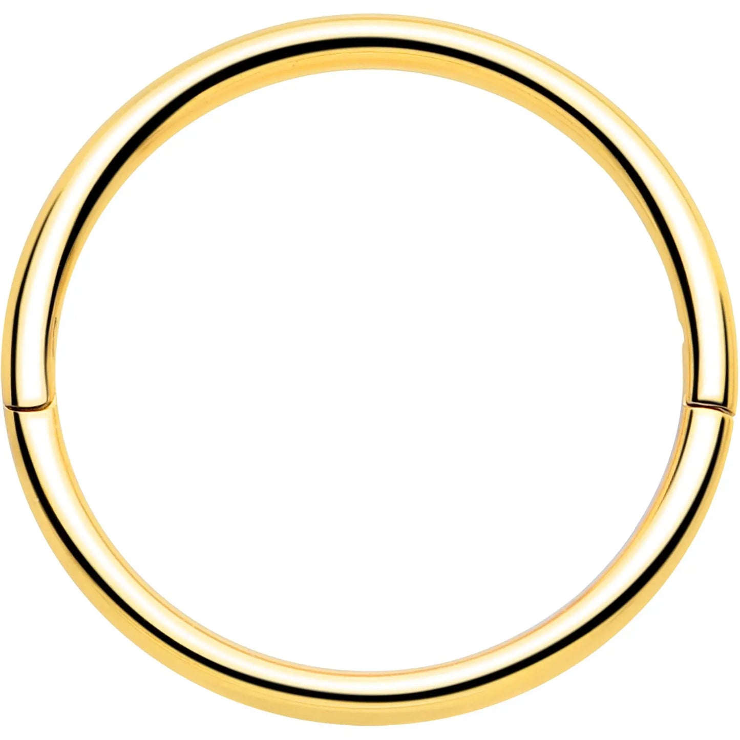 20G Implant Grade Titanium Half Closure Hinged Segment Ring - BodyCandy - Flyclothing LLC