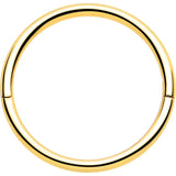 20G Implant Grade Titanium Half Closure Hinged Segment Ring - BodyCandy - Flyclothing LLC