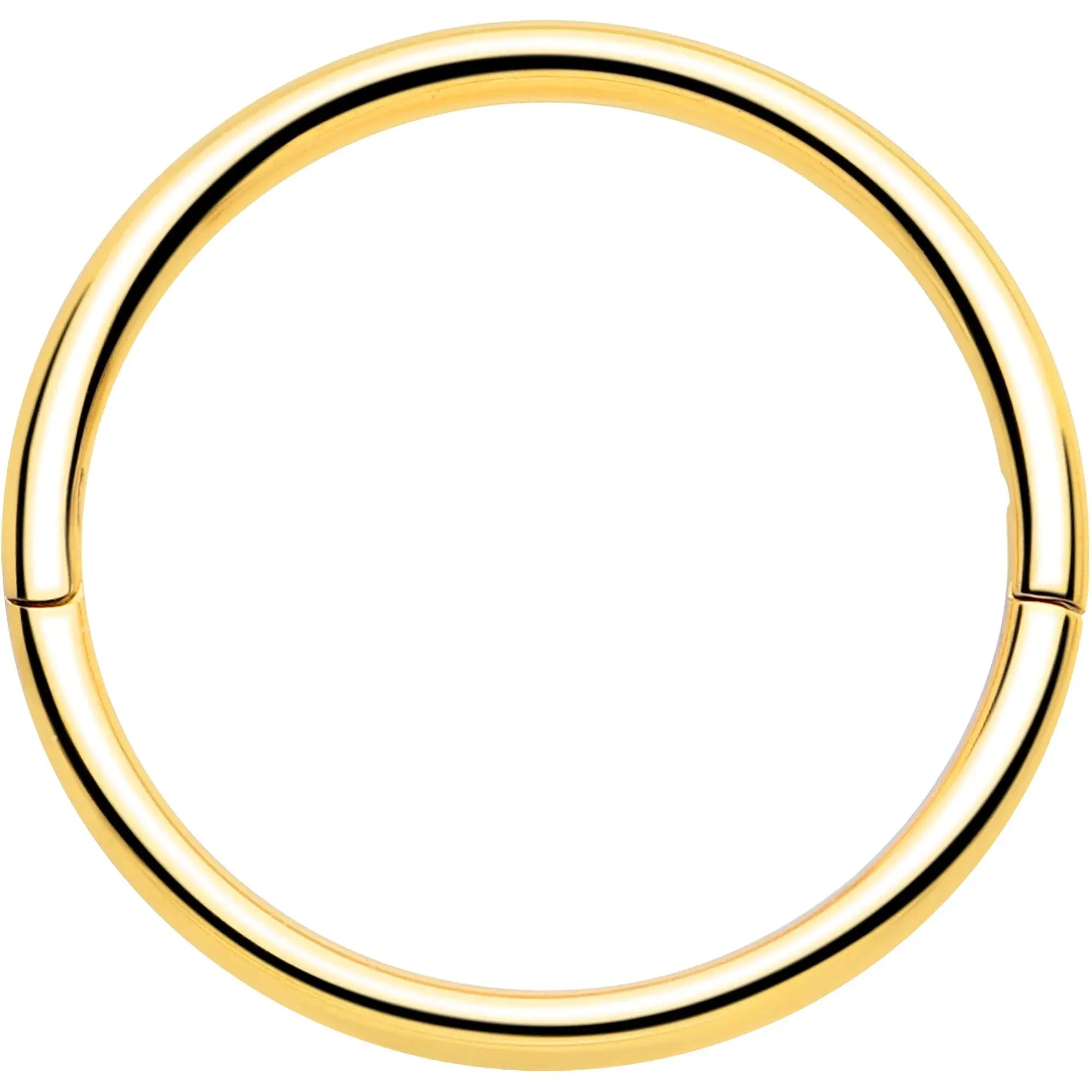 20G Implant Grade Titanium Half Closure Hinged Segment Ring - BodyCandy - Flyclothing LLC
