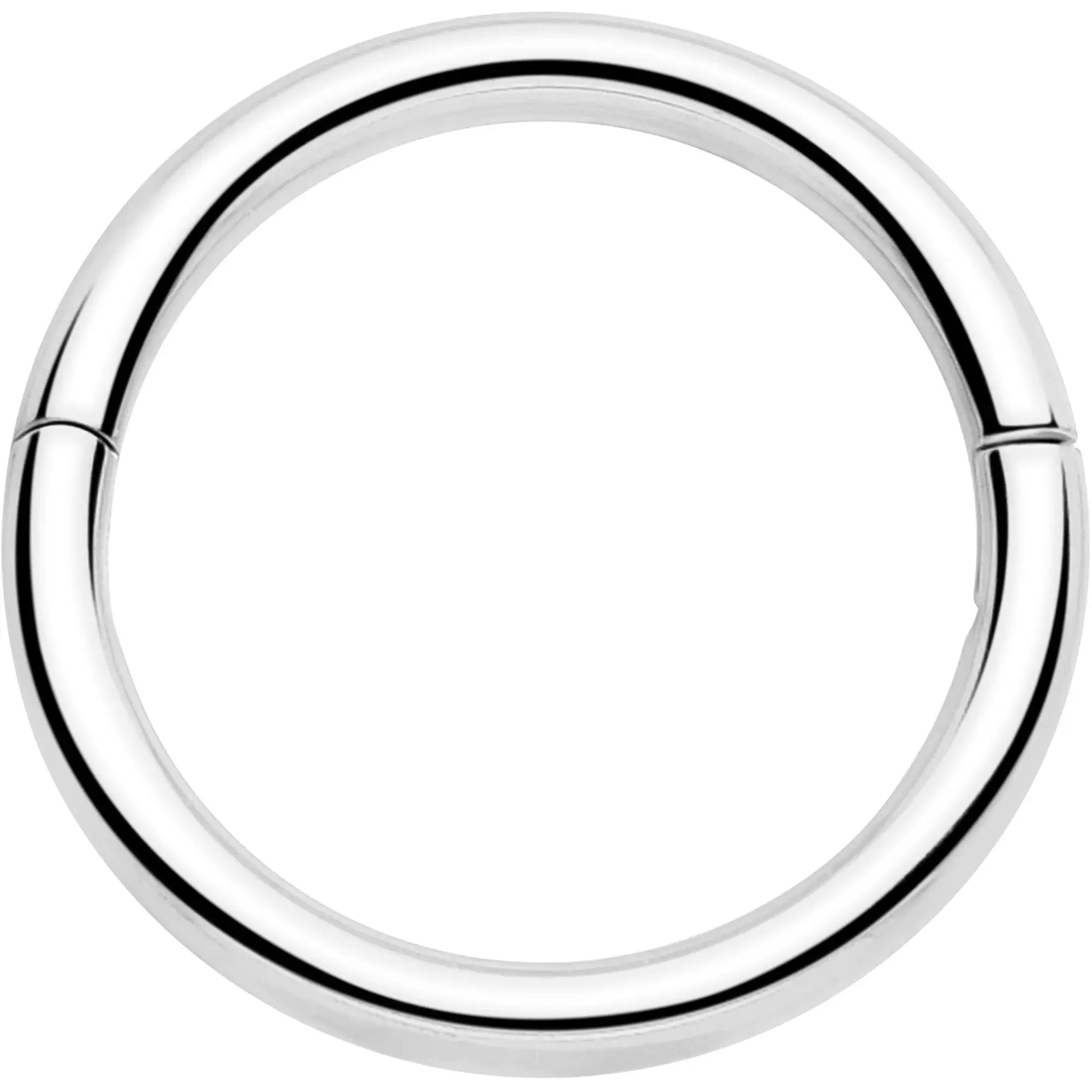 20G Implant Grade Titanium Half Closure Hinged Segment Ring - BodyCandy - Flyclothing LLC