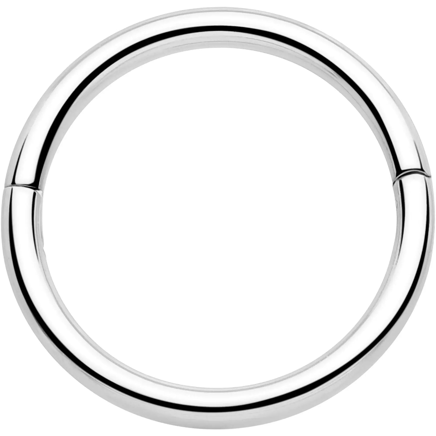 20G Implant Grade Titanium Half Closure Hinged Segment Ring - BodyCandy - Flyclothing LLC