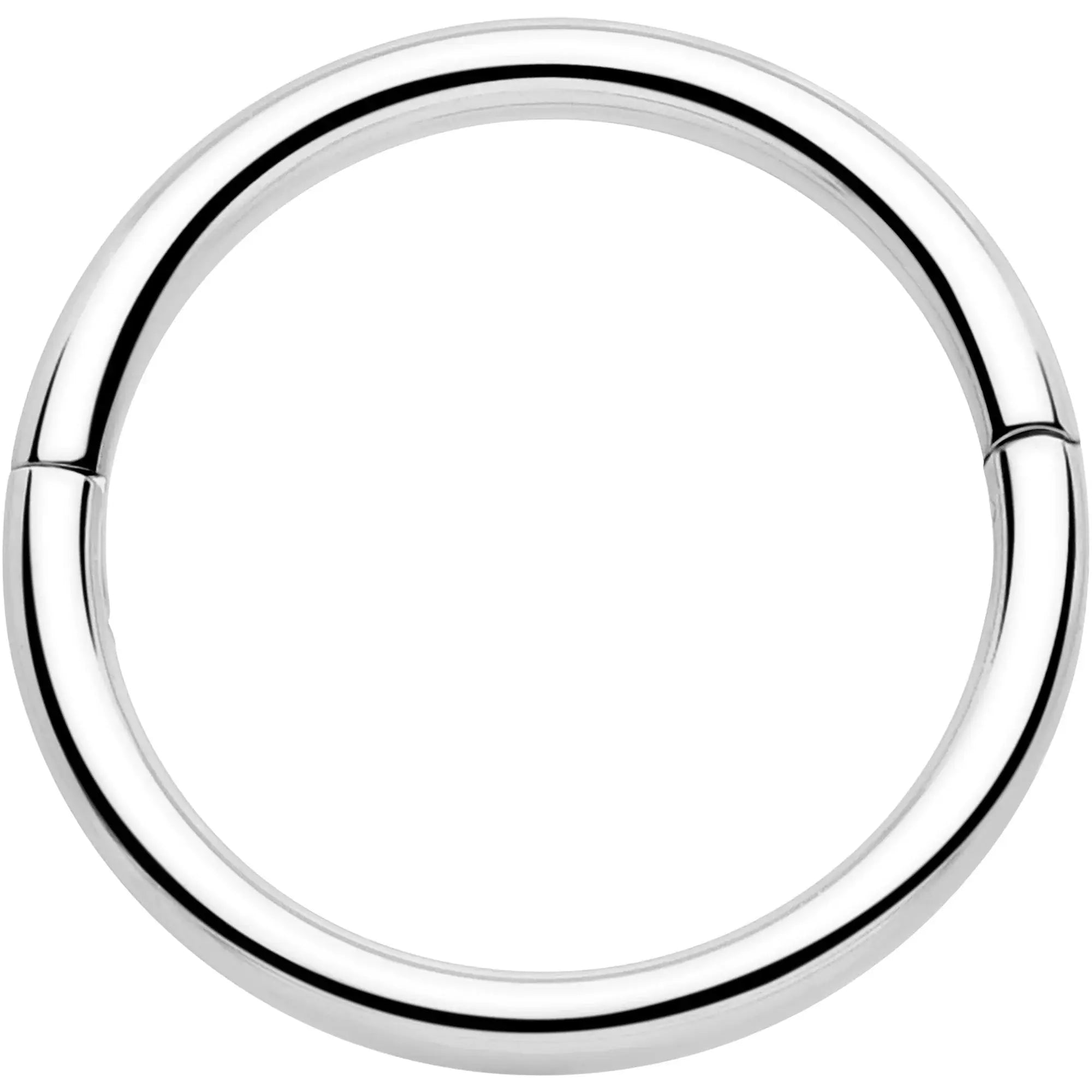 20G Implant Grade Titanium Half Closure Hinged Segment Ring - BodyCandy - Flyclothing LLC