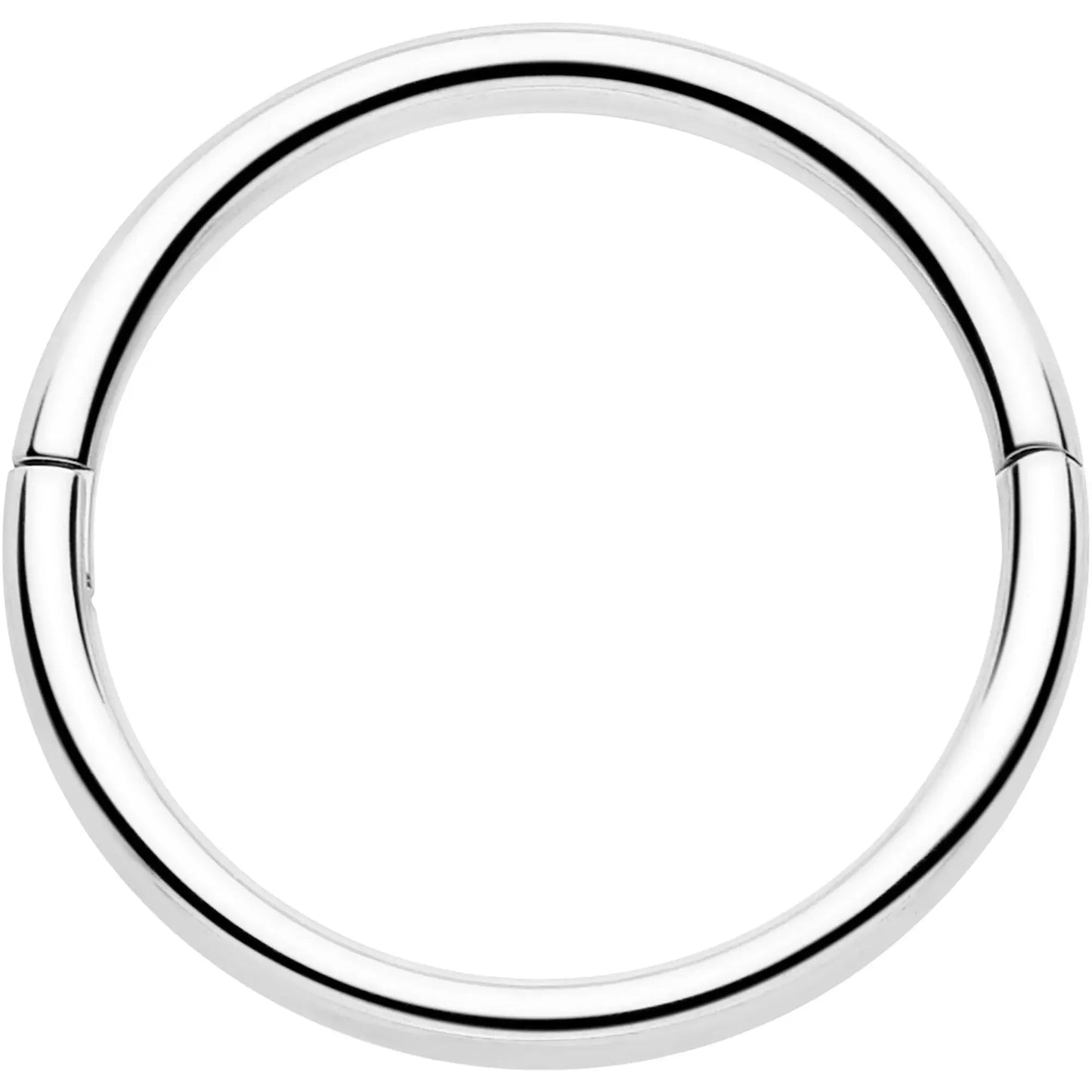 20G Implant Grade Titanium Half Closure Hinged Segment Ring - BodyCandy - Flyclothing LLC