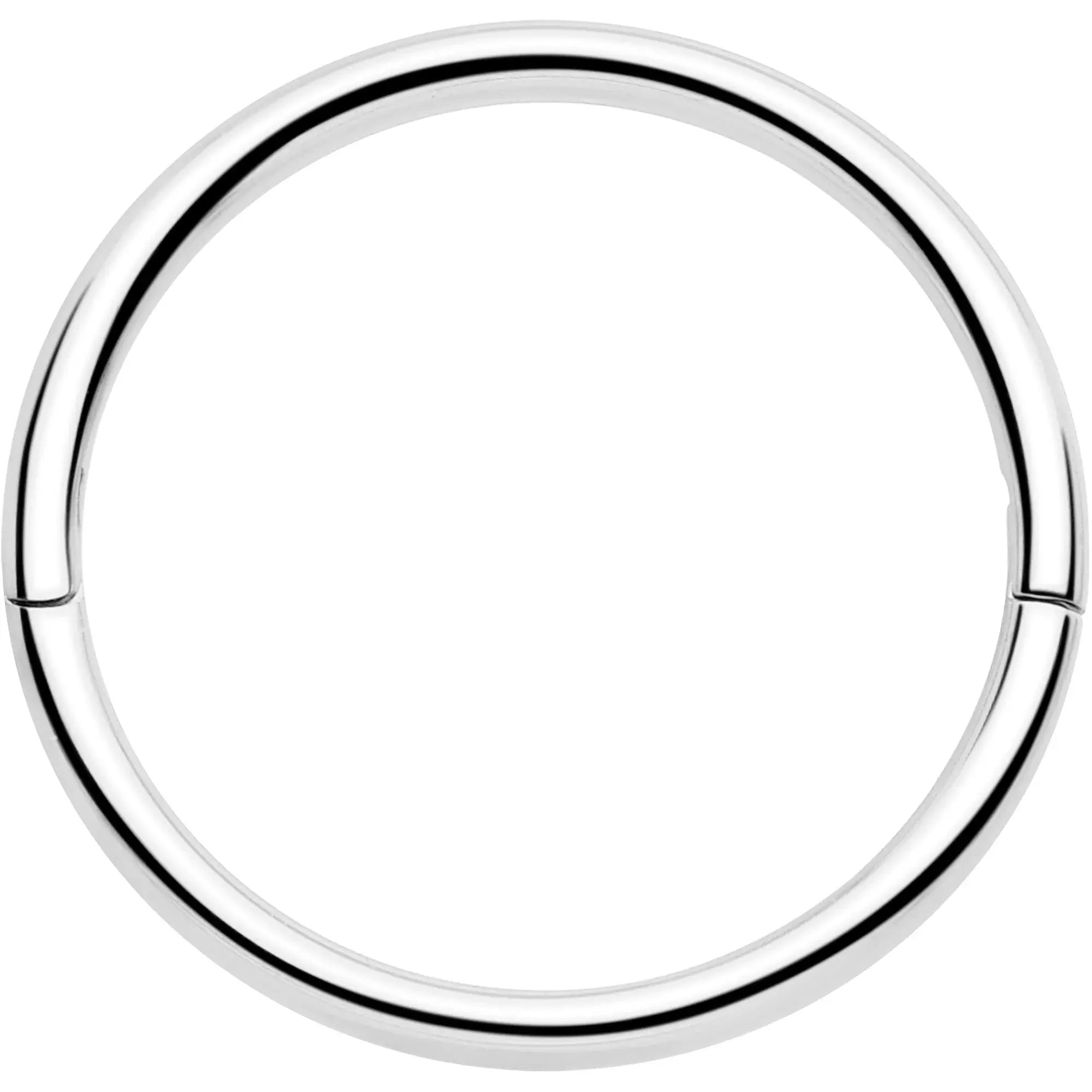 20G Implant Grade Titanium Half Closure Hinged Segment Ring - BodyCandy - Flyclothing LLC