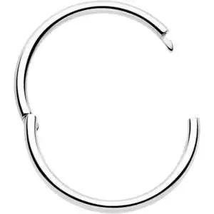20G Implant Grade Titanium Half Closure Hinged Segment Ring - BodyCandy - Flyclothing LLC