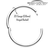 20G Implant Grade Titanium Half Closure Hinged Segment Ring - BodyCandy - Flyclothing LLC