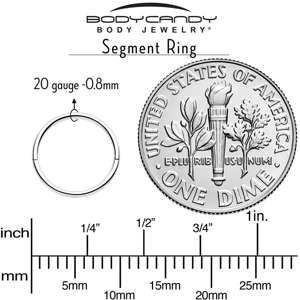 20G Implant Grade Titanium Half Closure Hinged Segment Ring - BodyCandy - Flyclothing LLC