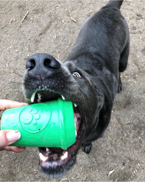 Coffee Cup Rubber Dog Chew Toy for Power Chewers | Treat Dispenser | USA Made - SodaPup/True Dogs, LLC - Flyclothing LLC