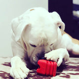 Heart on a String Dog Toy - Durable Rubber Tug Toy for Large Dogs | USA Made - SodaPup/True Dogs, LLC - Flyclothing LLC