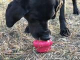 Cupcake eDispenser - Durable Rubber Chew Toy & Treat Dispenser | USA Made - SodaPup/True Dogs, LLC - Flyclothing LLC