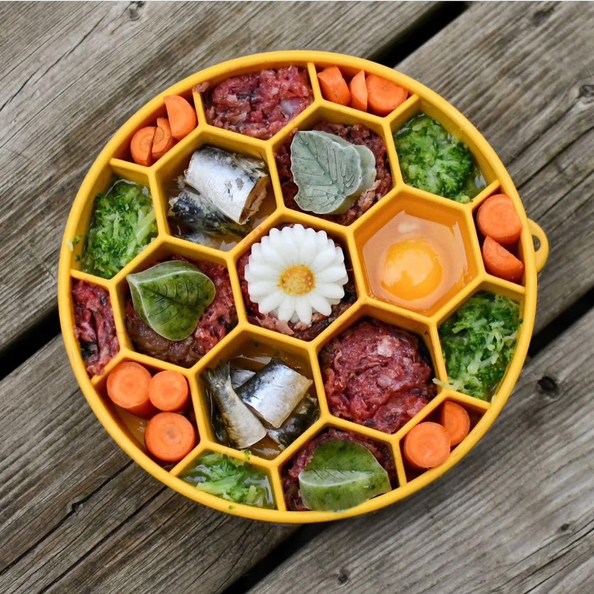 Honeycomb eBowl Deep Slow Feeder Dog Bowl for Enrichment | USA Made - SodaPup/True Dogs, LLC - Flyclothing LLC