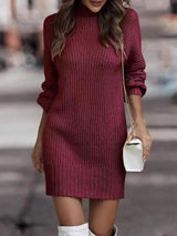 Full Size Turtleneck Raglan Sleeve Sweater Dress Plus Size - Trendsi - Flyclothing LLC