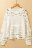 Pointelle Knit Puff Sleeve Sweater - Trendsi - Flyclothing LLC