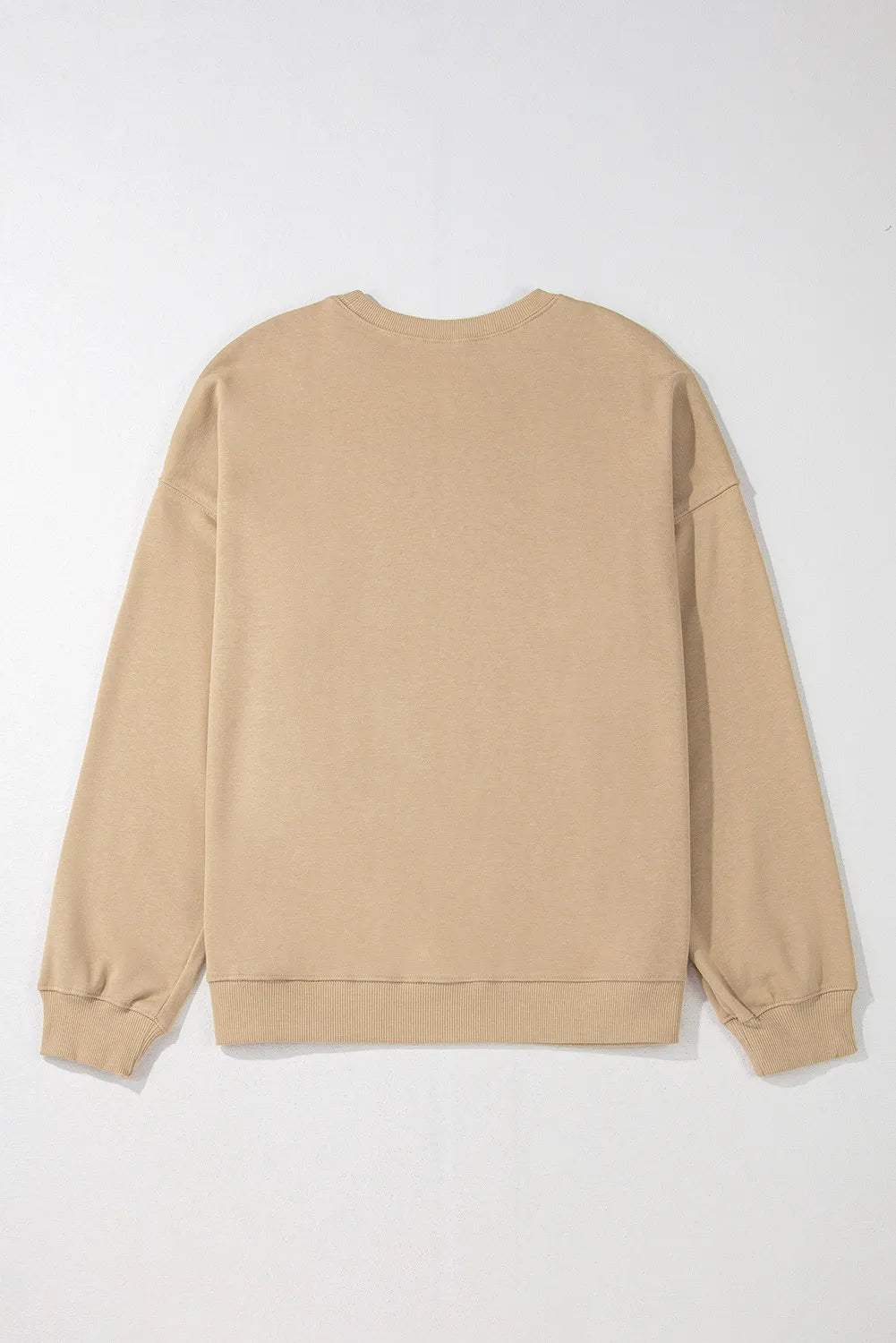 Plus Size Round Neck Long Sleeve Sweatshirt - Trendsi - Flyclothing LLC