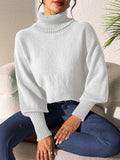Turtleneck Long Sleeve Sweater - Trendsi