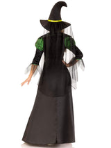 Storybook Witch Costume