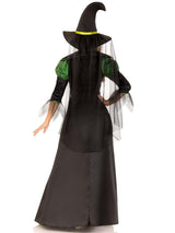 Storybook Witch Costume