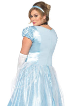 Classic Cinderella Costume