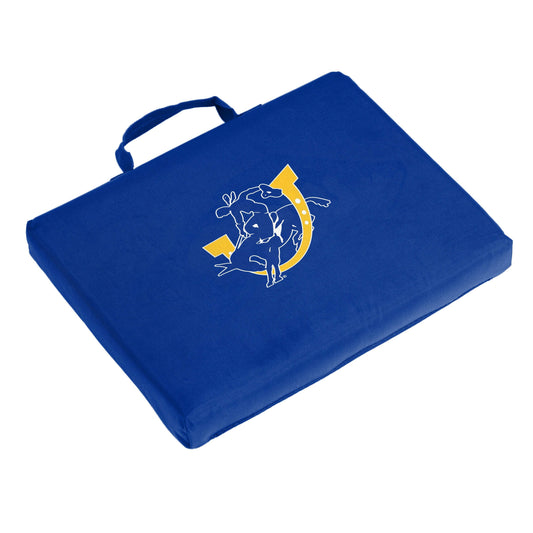Southern Arkansas Bleacher Cushion - Logo Brands - Flyclothing LLC