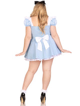 Storybook Alice Costume