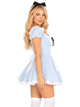 Storybook Alice Costume
