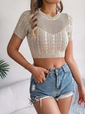 Cable Knit Openwork Round Neck Knit Top - Trendsi - Flyclothing LLC