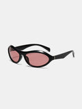Cat Eye Polycarbonate Sunglasses - Trendsi