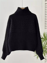 Full Size Textured Knit Turtleneck Long Sleeve Sweater Plus Size - Trendsi - Flyclothing LLC