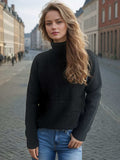 Solid Color Turtleneck Long Sleeve Sweater - Trendsi - Flyclothing LLC