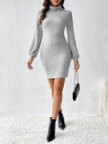 Turtleneck Long Sleeve Mini Dress - Trendsi
