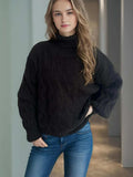 Cable-Knit Turtleneck Long Sleeve Sweater - Trendsi - Flyclothing LLC
