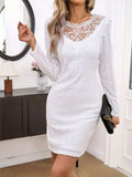 Lace Detail Round Neck Long Sleeve Mini Dress - Trendsi - Flyclothing LLC