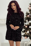 Sequin Round Neck Long Sleeve Mini Dress - Trendsi