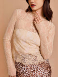 Lace Mock Neck Long Sleeve Top - Trendsi - Flyclothing LLC