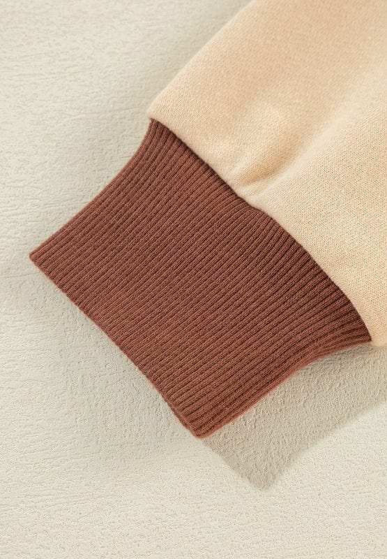 Color Block Johnny Collar Long Sleeve Sweatshirt - Trendsi - Flyclothing LLC