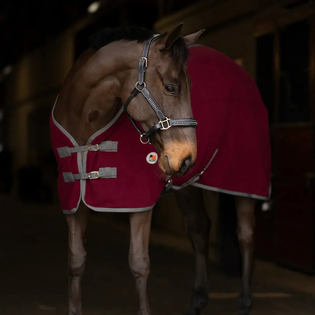 Miller's Standard Neck Fleece Cooler - Breeches.com - Flyclothing LLC