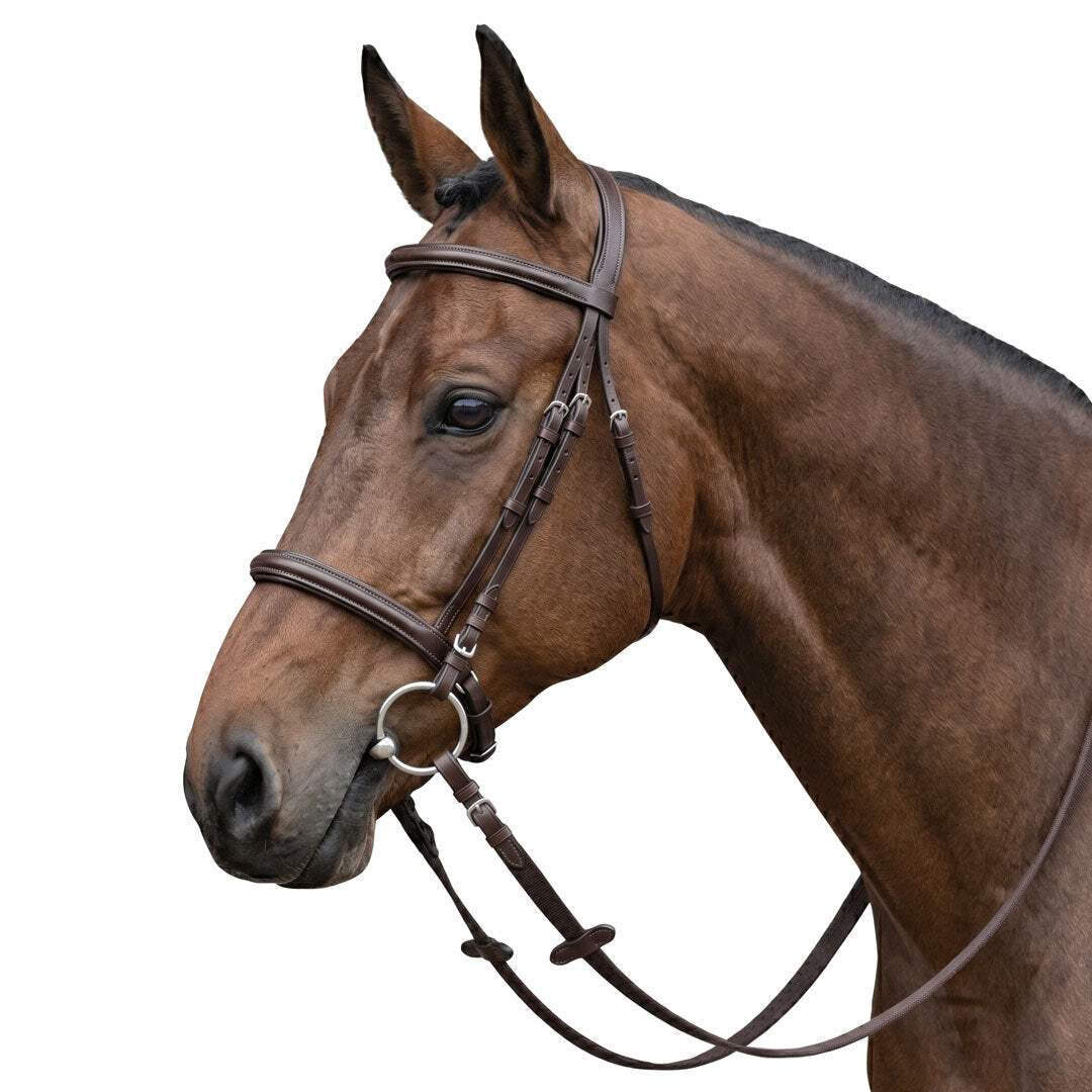 Miller's Flash Bridle crafted from Quality leather-Reins Included - Breeches.com - Flyclothing LLC