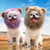 Christmas Funny Hat Cap Pet Dress Simulation Toy Halloween Party Festival Lion Hair Mane Ears Head Cap Scarf Cosplay Costume - My Store - Flyclothing LLC