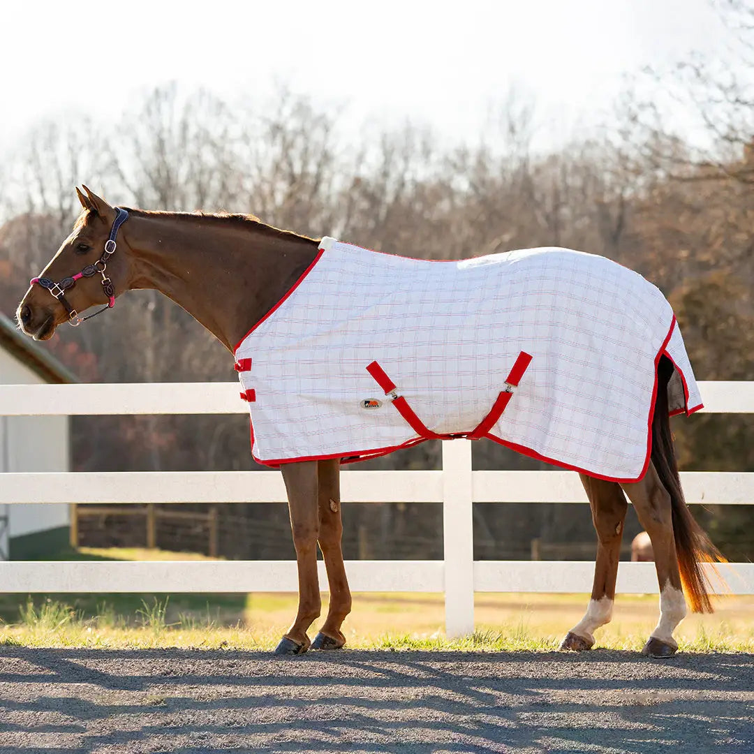 Miller's Aussie Ripstop Stable Sheet - Breeches.com - Flyclothing LLC