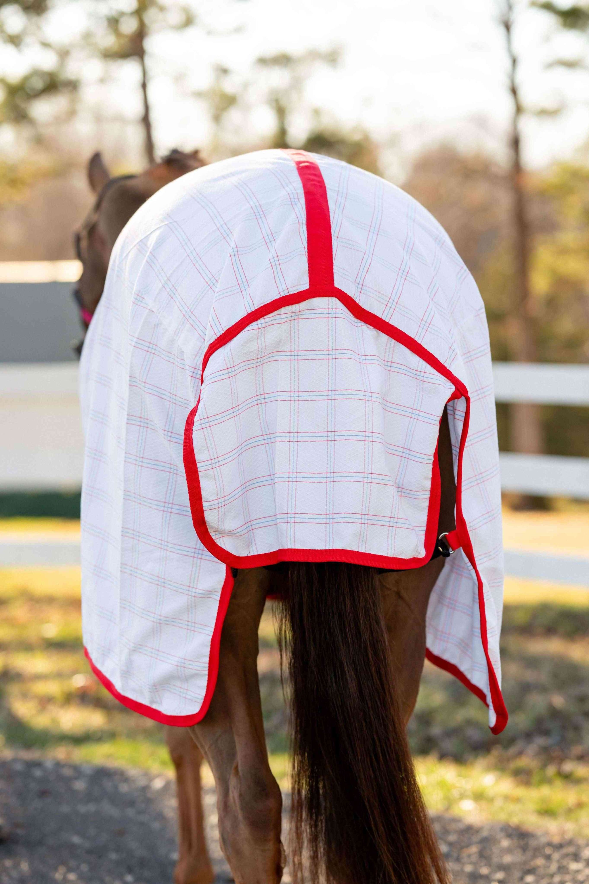 Miller's Aussie Ripstop Stable Sheet - Breeches.com - Flyclothing LLC