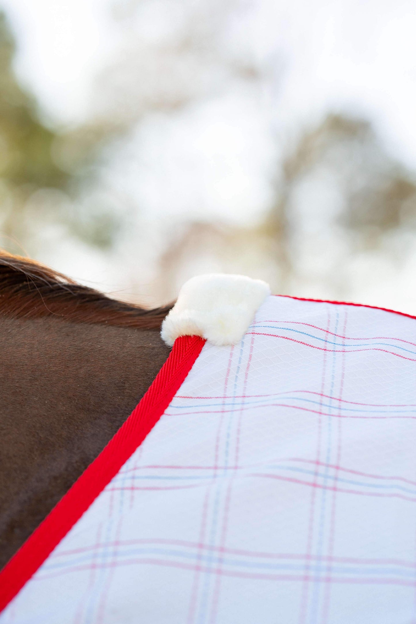 Miller's Aussie Ripstop Stable Sheet - Breeches.com - Flyclothing LLC