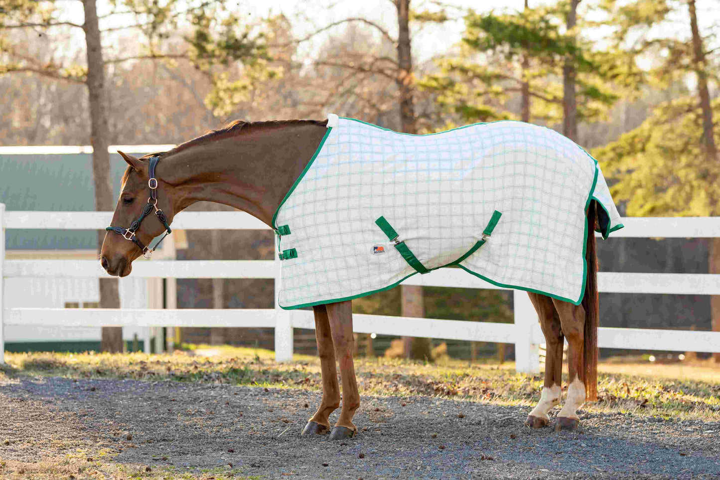 Miller's Aussie Ripstop Stable Sheet - Breeches.com - Flyclothing LLC