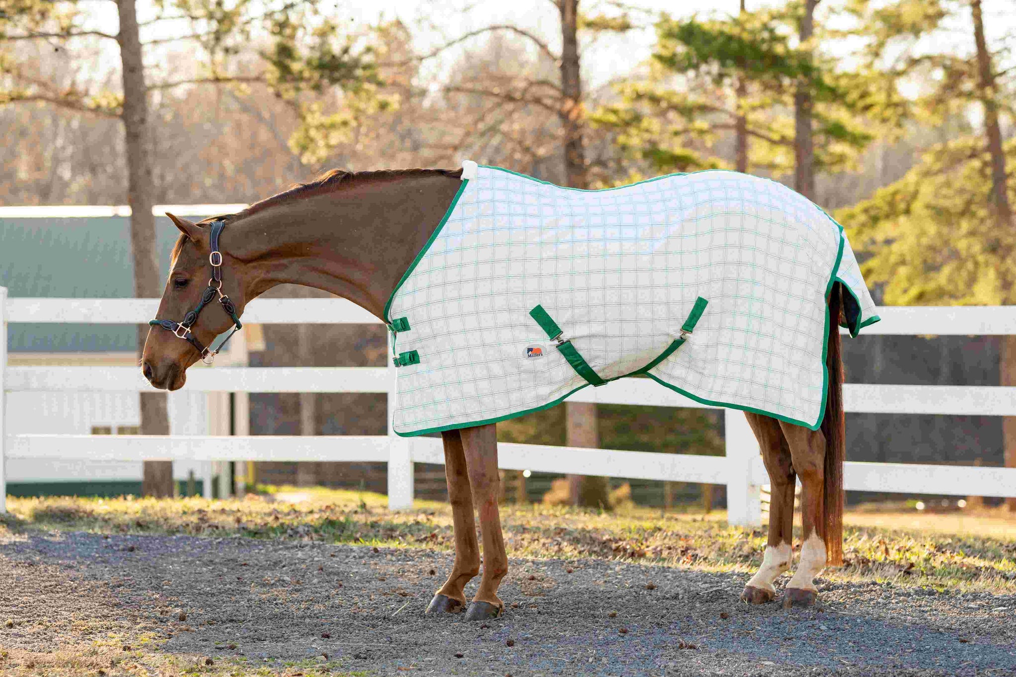 Miller's Aussie Ripstop Stable Sheet - Breeches.com - Flyclothing LLC