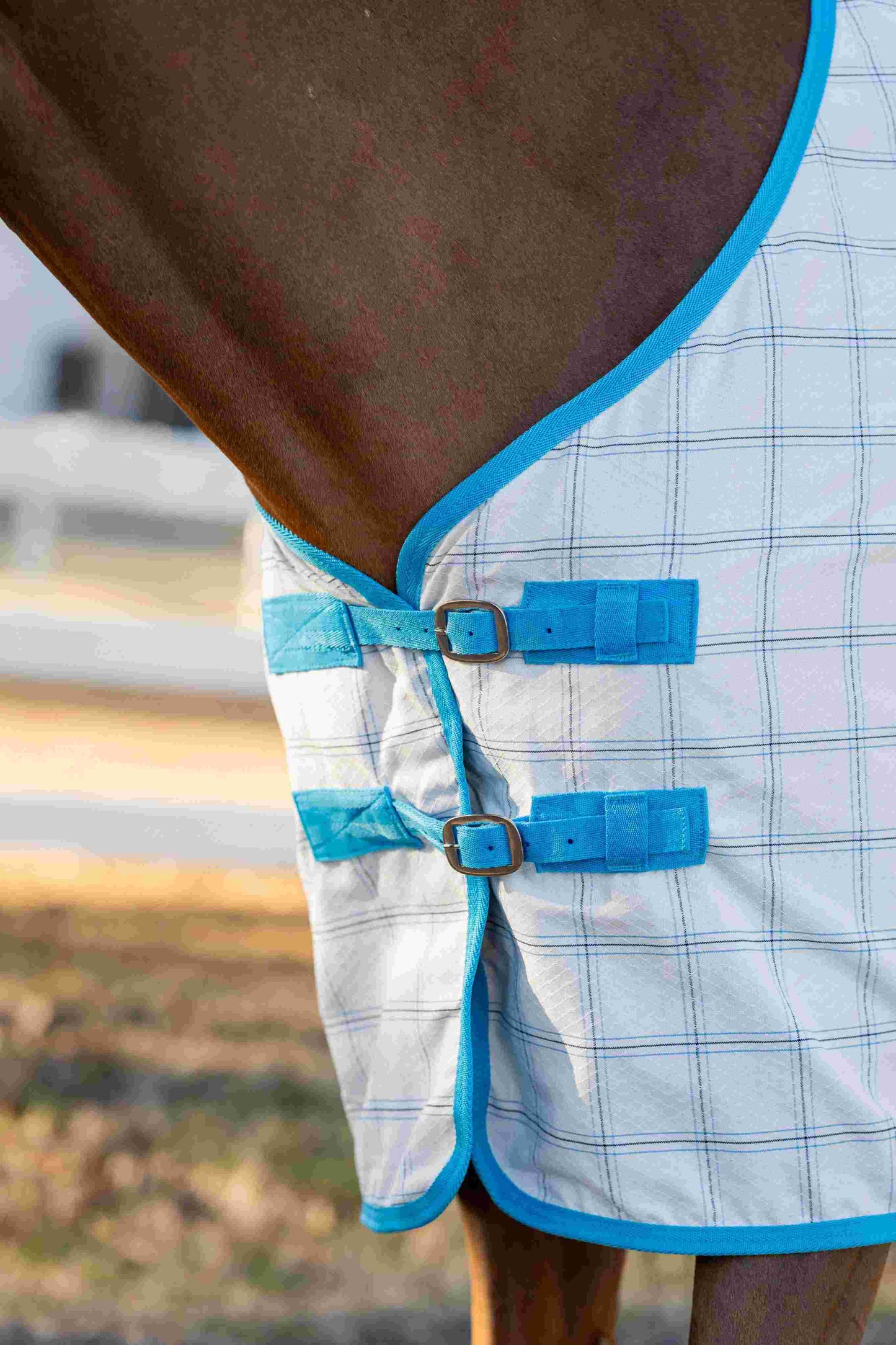 Miller's Aussie Ripstop Stable Sheet - Breeches.com - Flyclothing LLC